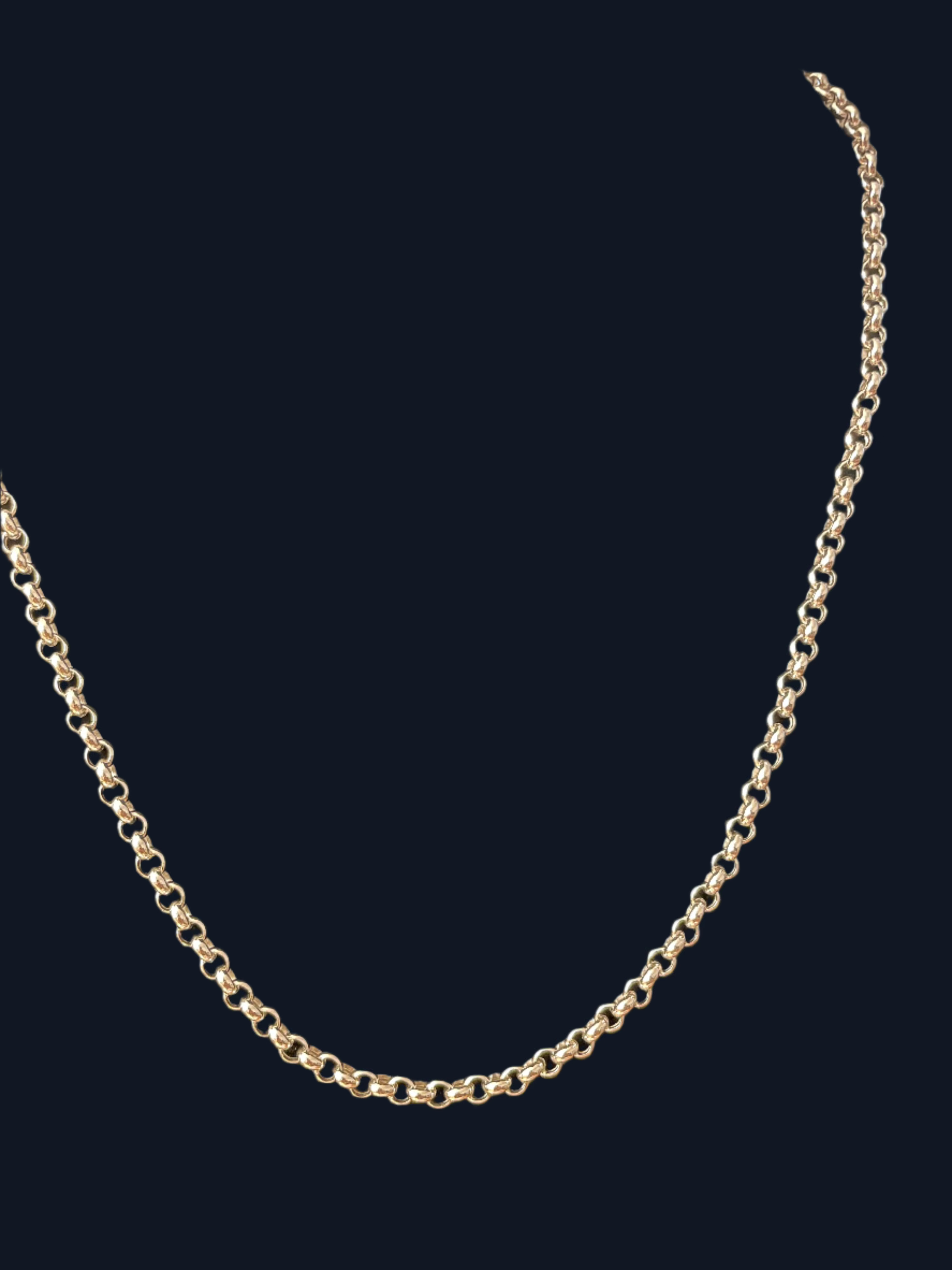 White Gold Nacklace - Dolphin Pendant